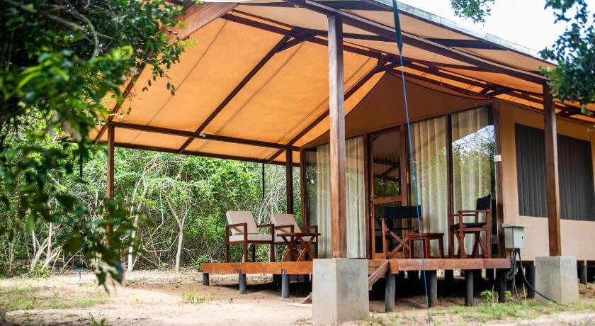 Yala National Park